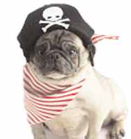 pirate dog pet costume