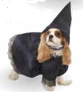 witch dog pet costume